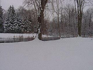 2nd image of 253 Bramblebrae Dr