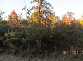 300 Holly Springs Rd, Clermont, GA 30527