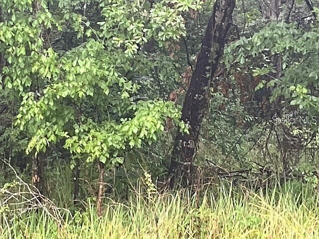 1st image of Sharon St Lot 40
