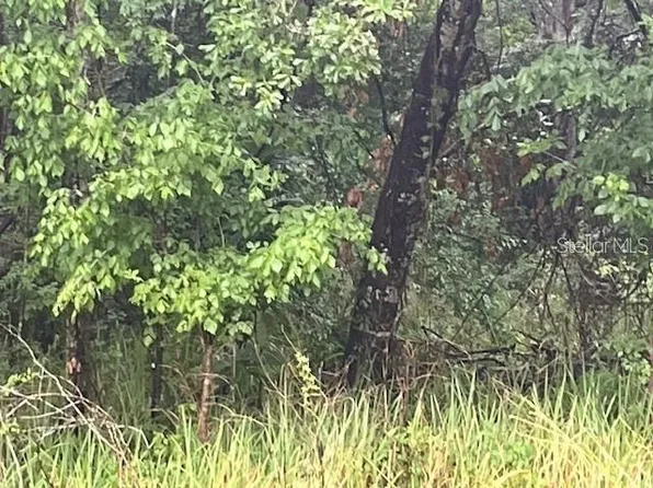 Sharon St Lot 40, Brooksville, FL 34601