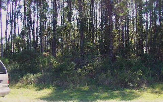 1st image of 23 Eastmoor Ln