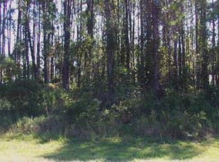 23 Eastmoor Ln, Palm Coast, FL 32164