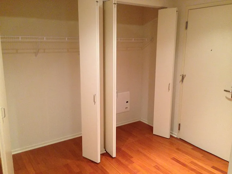 Master bedroom closets (on both sides)