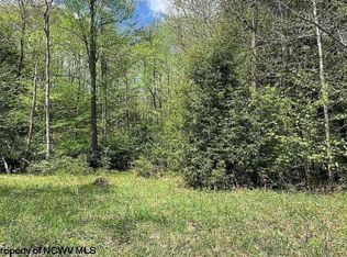 307 Tuscan Ridge Rd, Davis, WV 26260