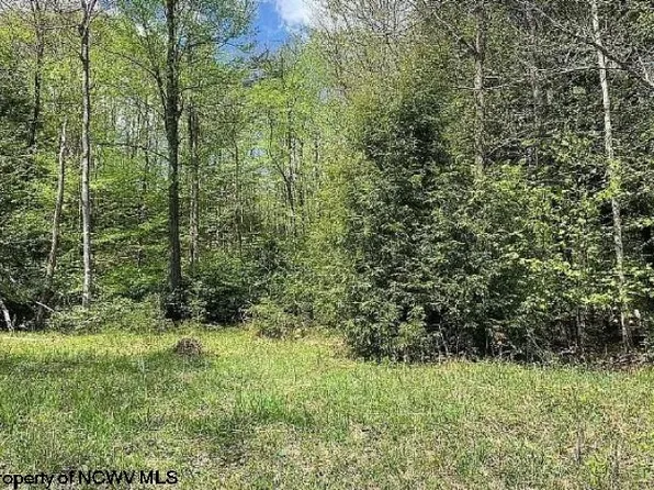 309 Tuscan Ridge Rd, Davis, WV 26260
