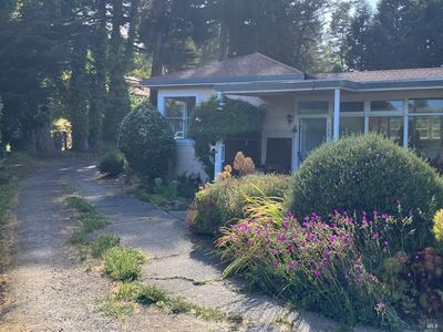 333 Richardson Way, Mill Valley, CA, 94941