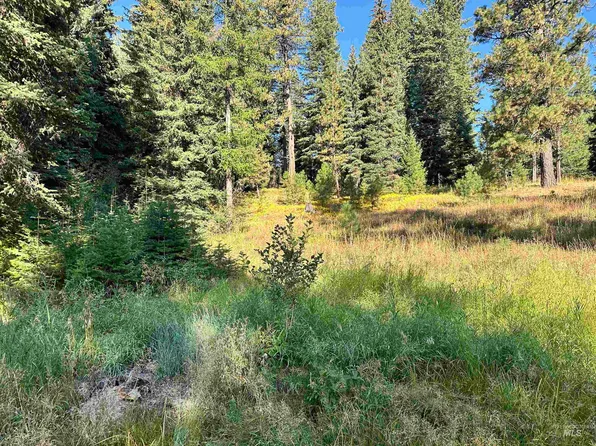 2195 Davy Rd, Donnelly, ID 83615