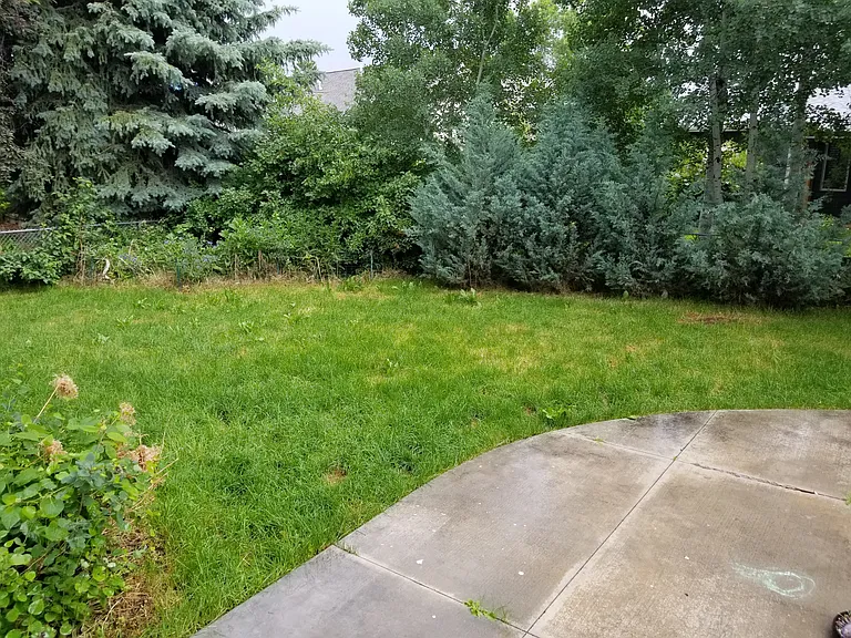 918 Woodland Dr — Photo 25