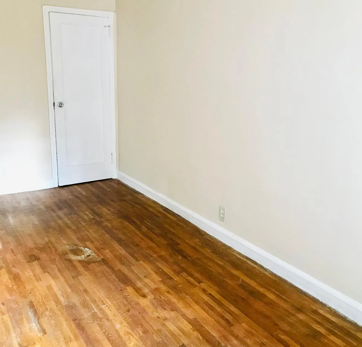 1 bed, 160 sqft, $1,200 — Photo 4