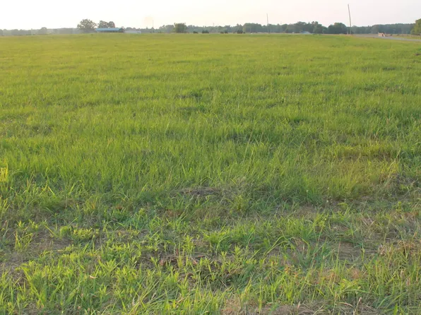 1 Summerford Orr Rd SW, Falkville, AL 35622