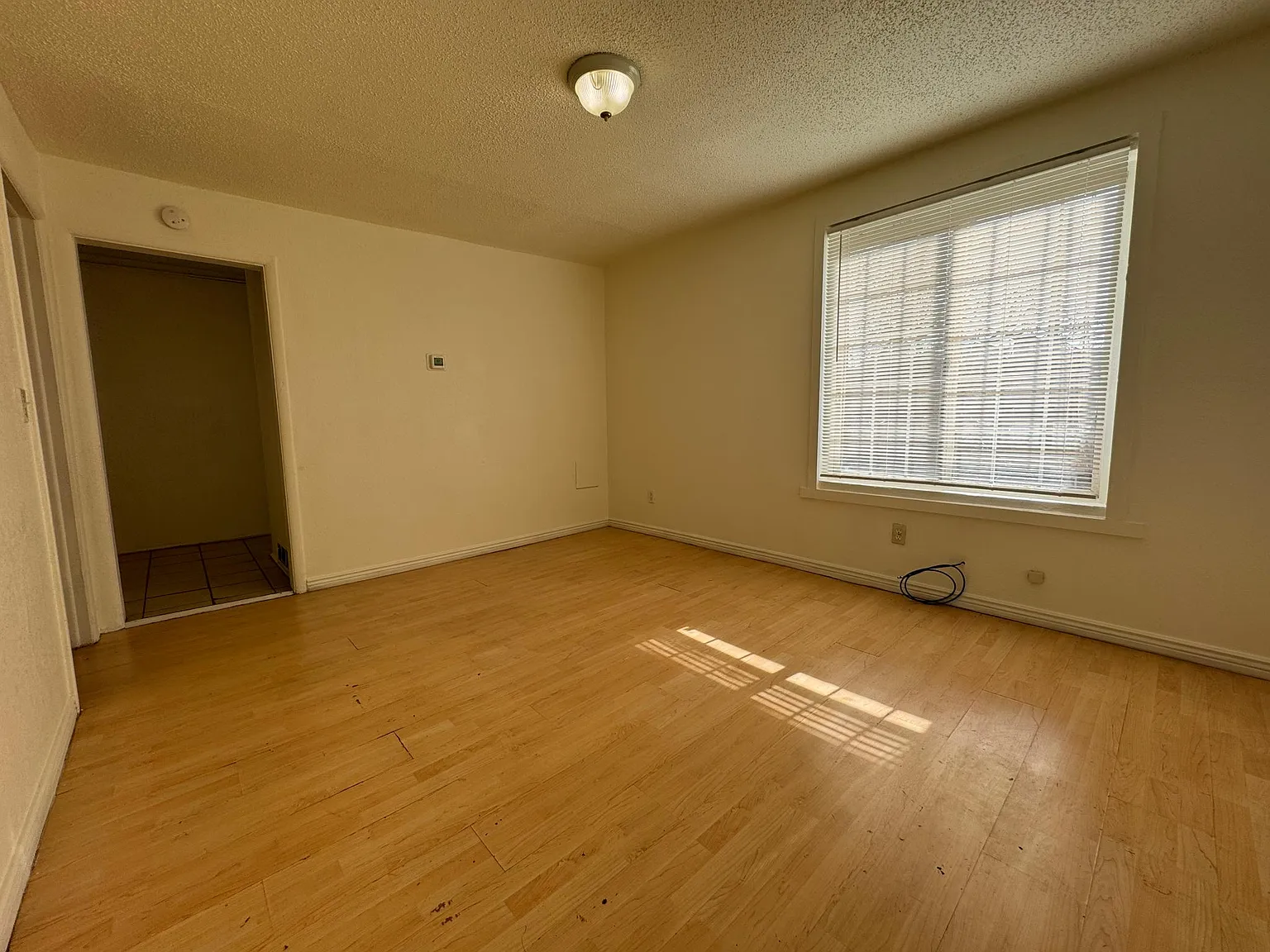 1 bed, 600 sqft, $1,250 — Photo 4