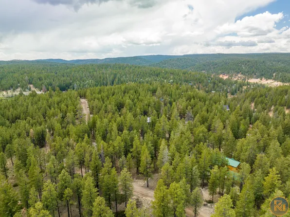 995 N Timber Ln, Duck Creek Village, UT 84762