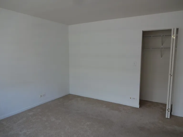 222 E Pearson St #2105 — Photo 6