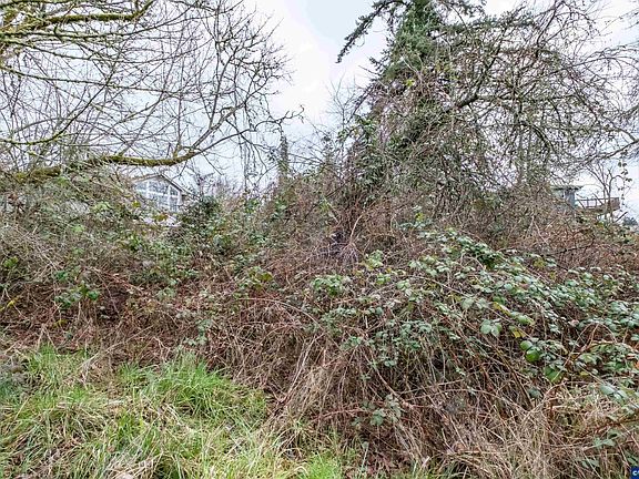 5th image of LOT 2 12th Ave SW