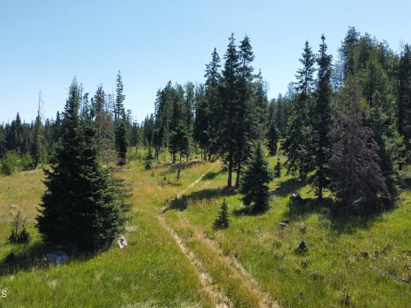 PARCEL 10 Green Valley Rd, Fernwood, ID 83830