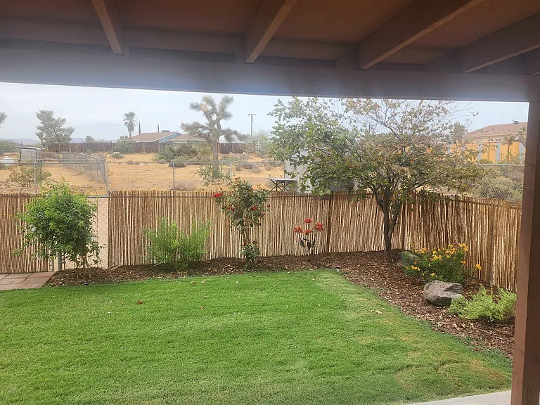Back Yard Sanctuary