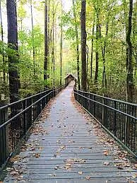 Suwanee Greenway access in back of neighborhood. Access to over 10 miles of trails.