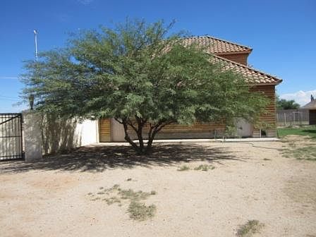 Mesquite Tree Inside Yard