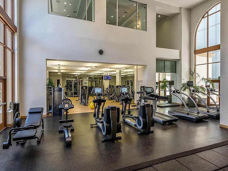 Professional fitness center