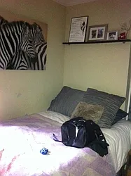 Rented by The Search D&M