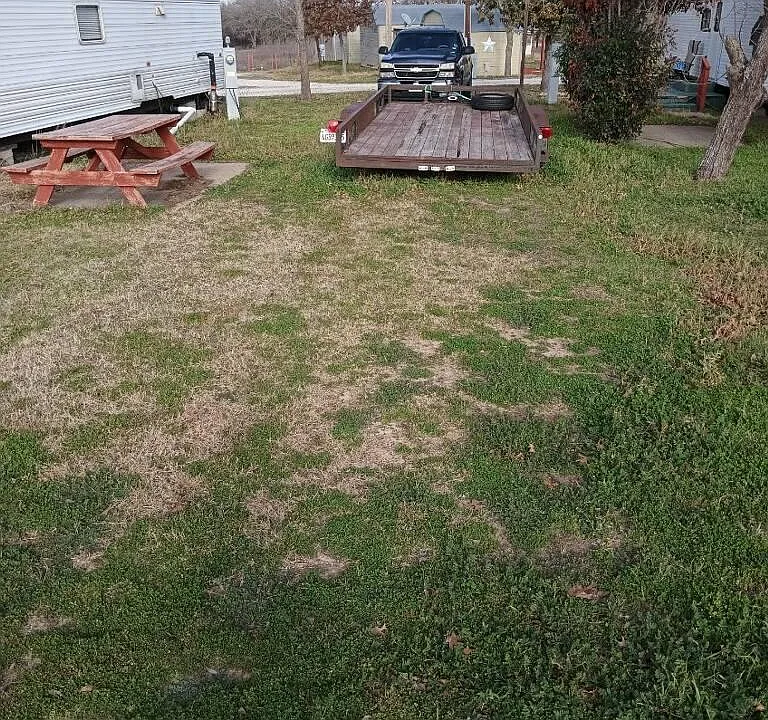 17455 N Highway 281 #6