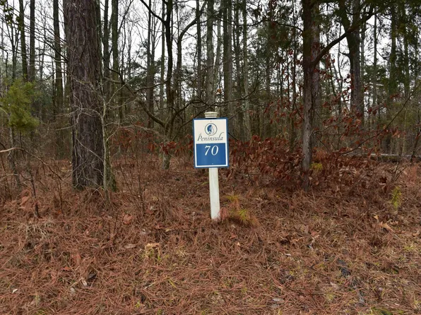 70 Parrish Ridge Rd, Goreville, IL 62939