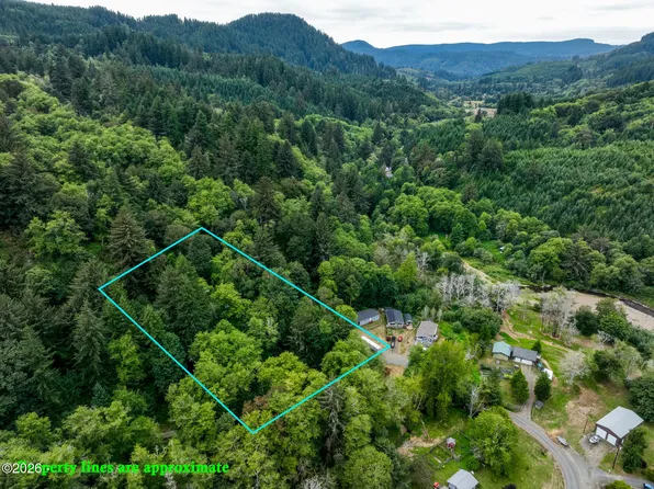 35495 Big Trout Rd, Hebo, OR 97122