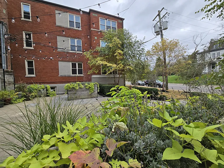 342 Forest Ave #C1 — Photo 27