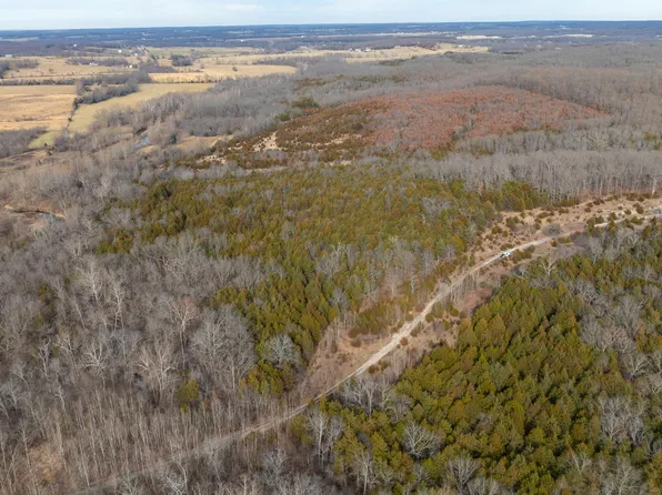 Lot 42 Mills Valley Boulevard, Marshfield, MO 65706