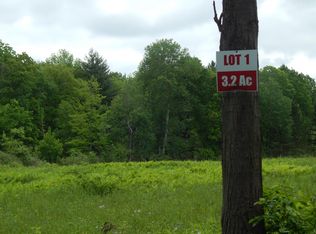 Winney Hill Rd, Oneonta, NY 13820