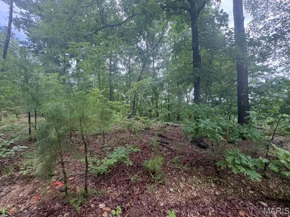 0 County Road 447, Redford, MO 63665