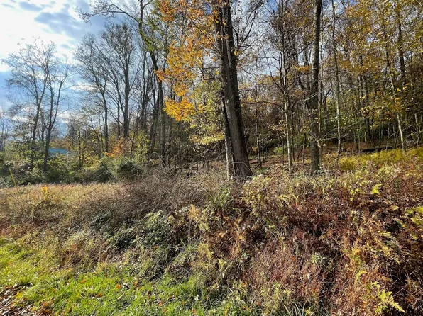 S Side Ln, Muncy Valley, PA 17758