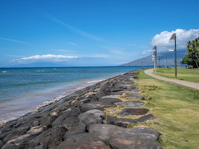 S Kihei Rd — Photo 44