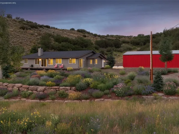 29390 Highway 131, Oak Creek, CO 80467