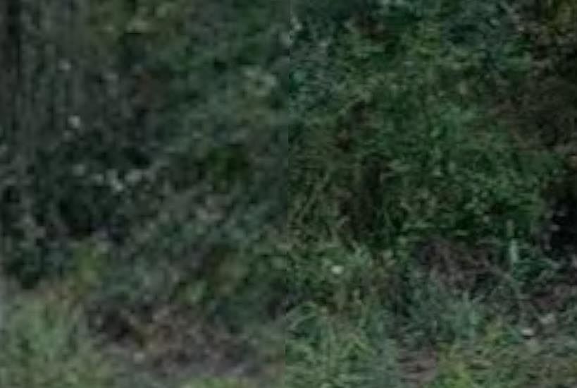 1st image of 9058 T Bird Rd