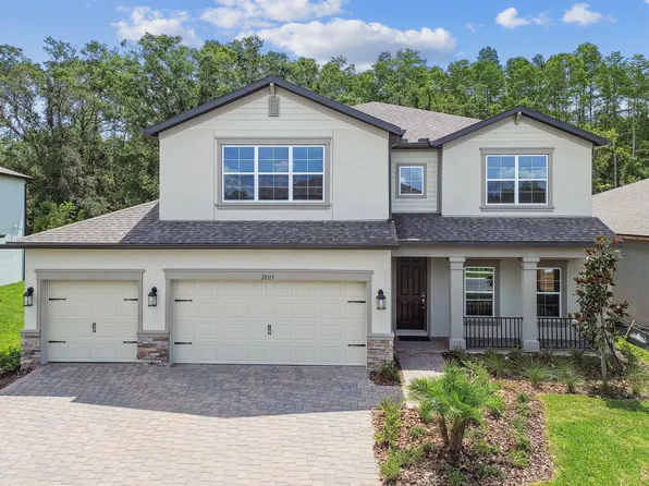 20313 Oriana Loop, Land O Lakes, FL 34638