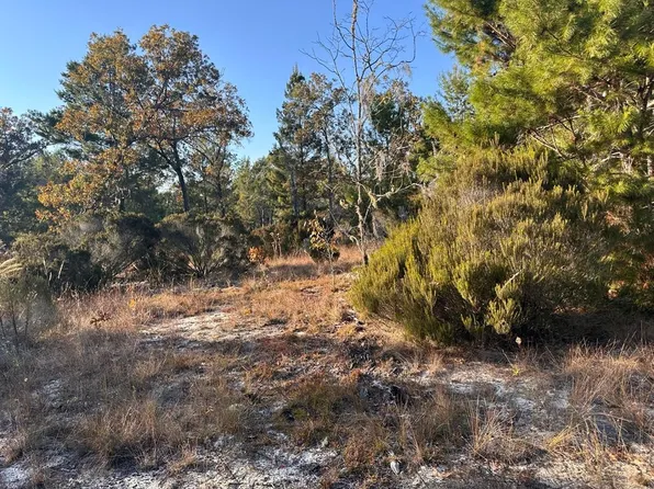  NE 99th Pl, Archer, FL 32618