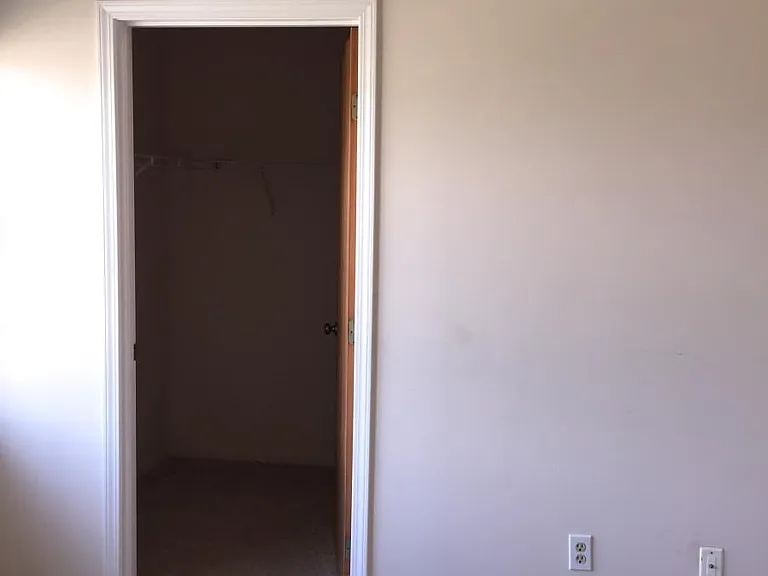 3217 Pinebluff Ct — Photo 29