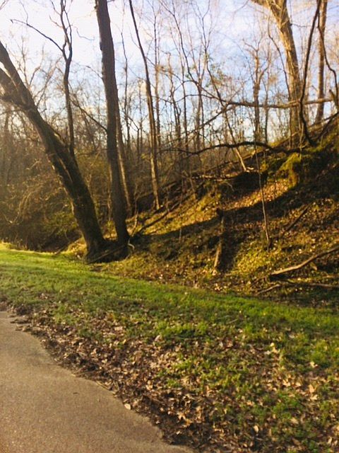 2nd image of 0 Riley Rd #0