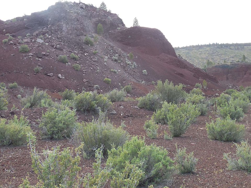 Kegg, Macdoel, CA 96058 MLS 20230426 Zillow