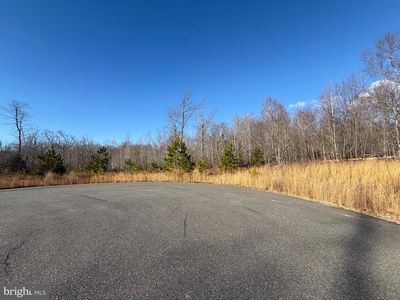 Catkin King, King George, VA, 22485