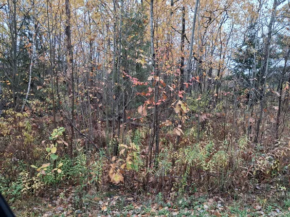0 Bear Creek Rd, Nipissing, ON P0H 1H0