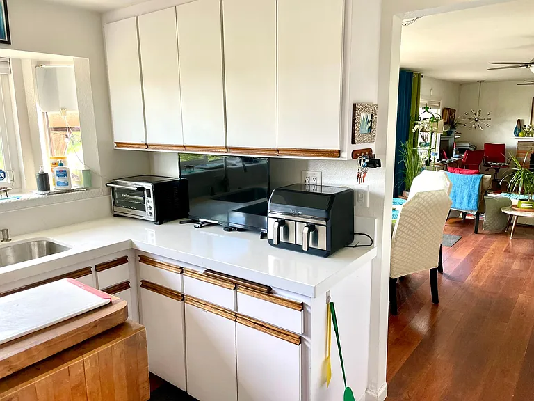 Air fryer and television