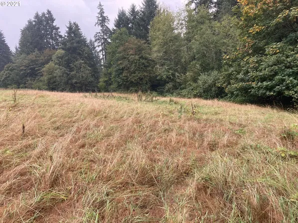 0 NW 166th St, Ridgefield, WA 98642