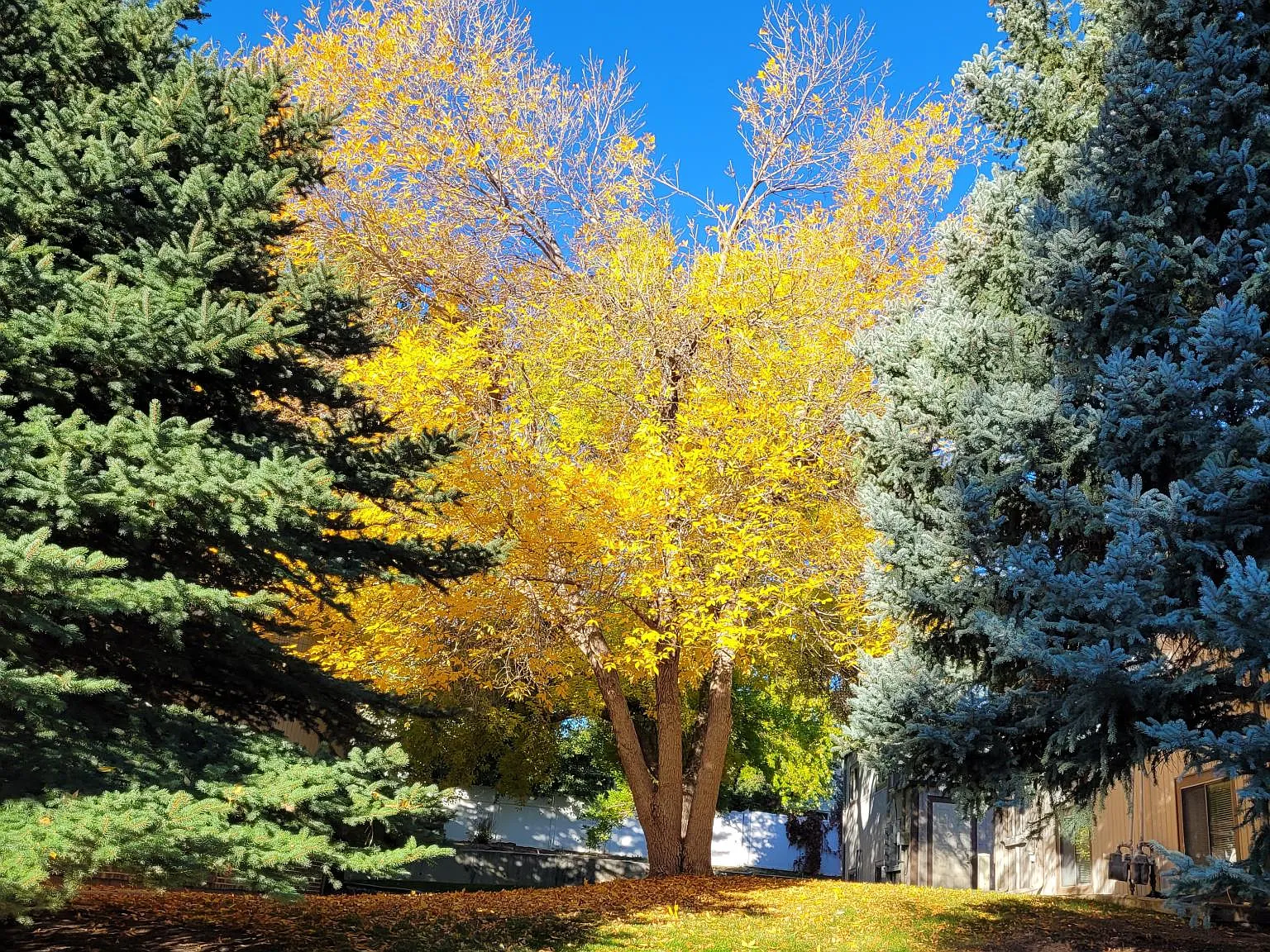 Trojan Dr, Casper — Photo 2