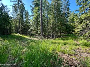 Kreiger Creek Rd, Careywood, ID 83809