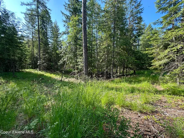 Kreiger Creek Rd, Careywood, ID 83809