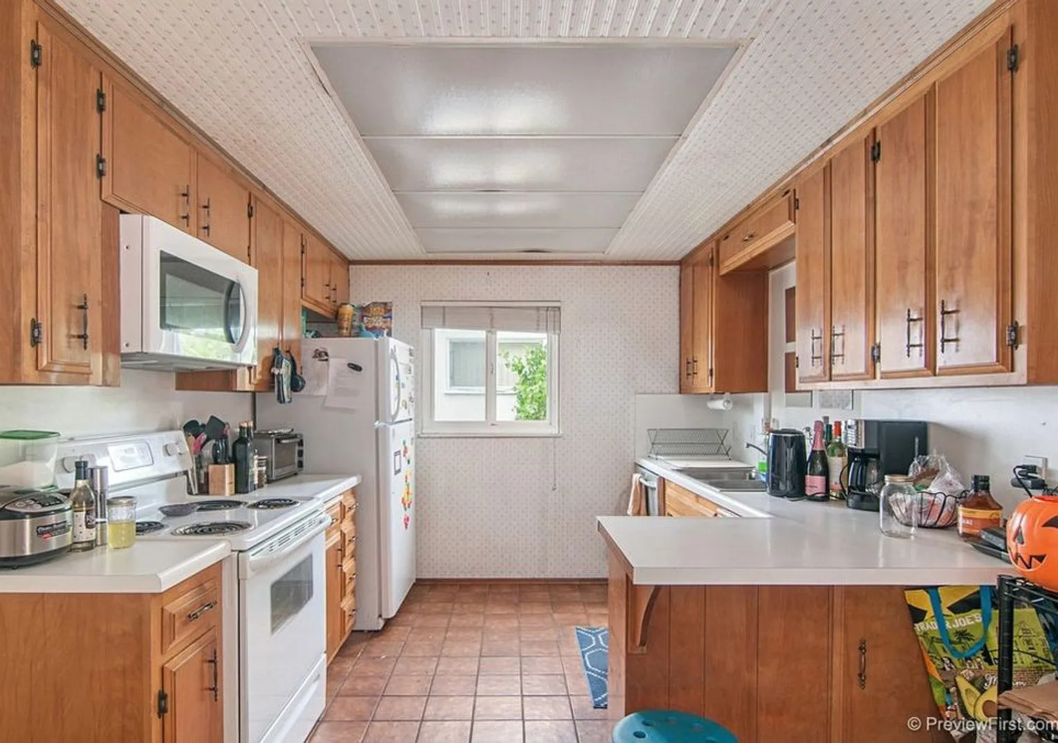 5 Bedroom House in College East - Bright and Airy on Quiet Street! — Photo 4