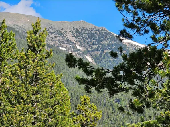 30321 Aspen Turn, Buena Vista, CO 81211