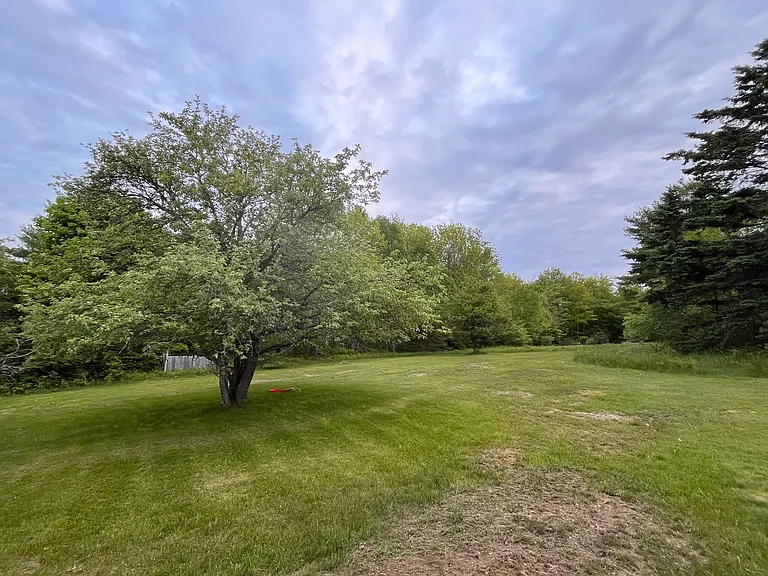 503 Surry Rd — Photo 5